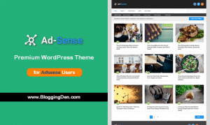 Ad sense Premium WordPress theme for adsense users
