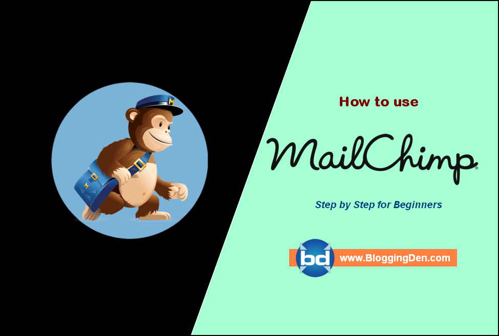 How to use Mailchimp for Email Marketing in 2022? (Beginners Guide)