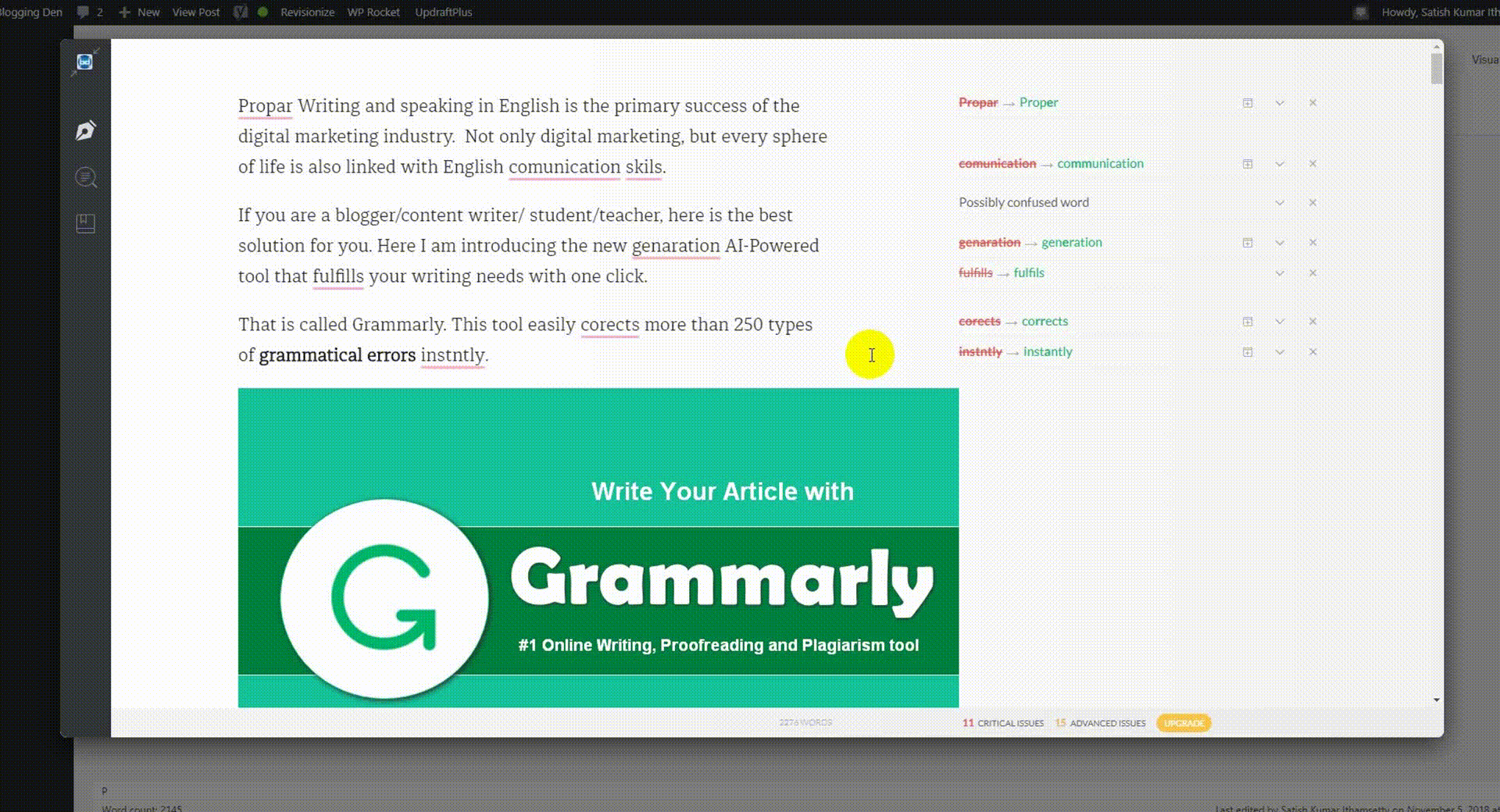 How to work with grammarly?