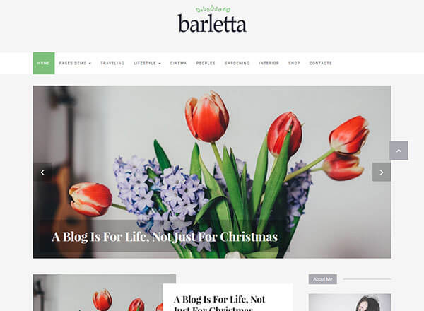barletta wordpress theme