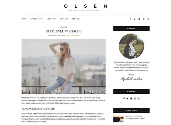 olsen-light wordpress theme