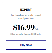 Elementor plugin Expert Plan