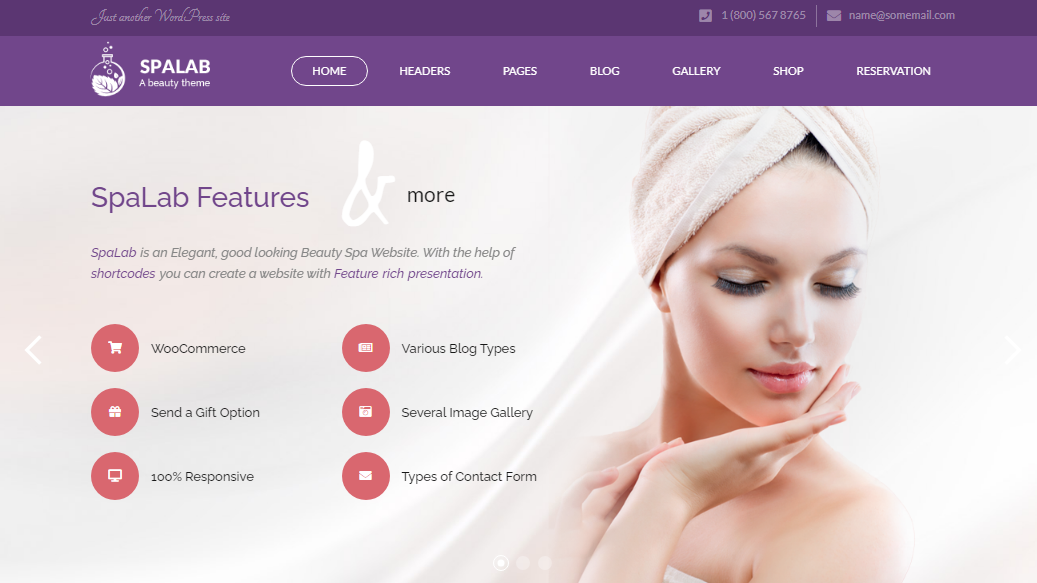 spalab wordpress theme