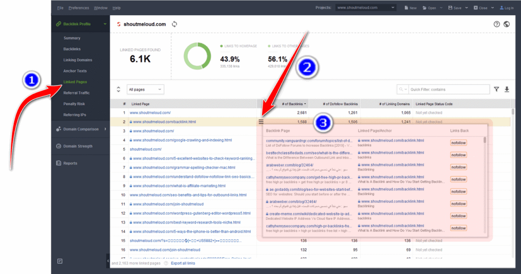 SEO-spyglass step 4 backlinks-from-linked-pages