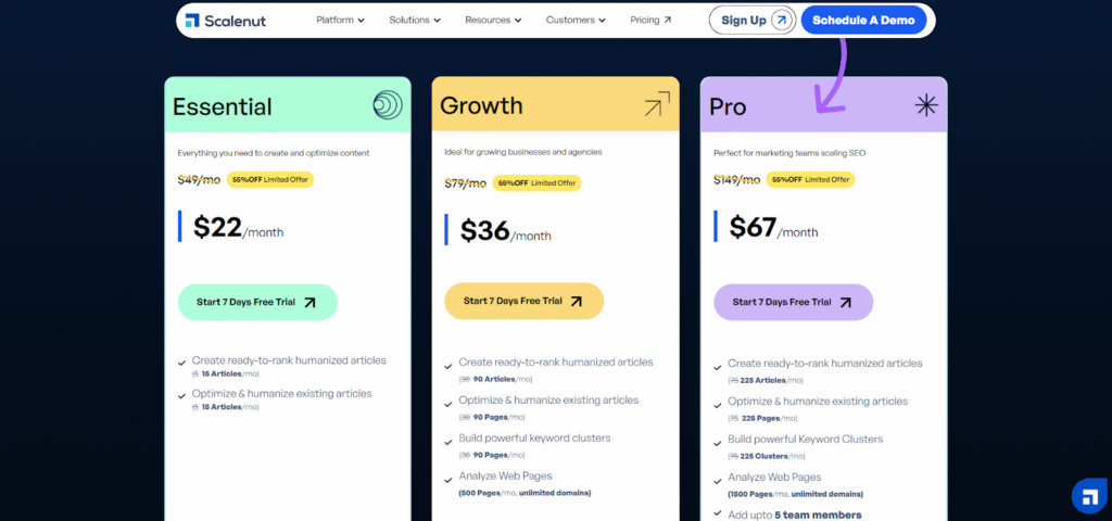 Scalenut Black Friday pricing