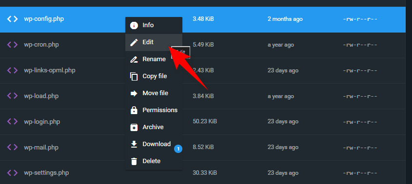 edit wp config file from the hostinger server