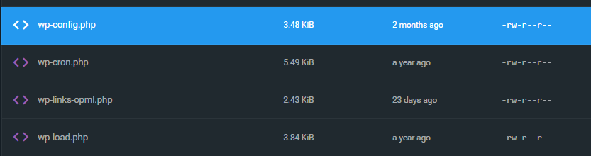 wp config file edit